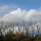 Herbst-Blau