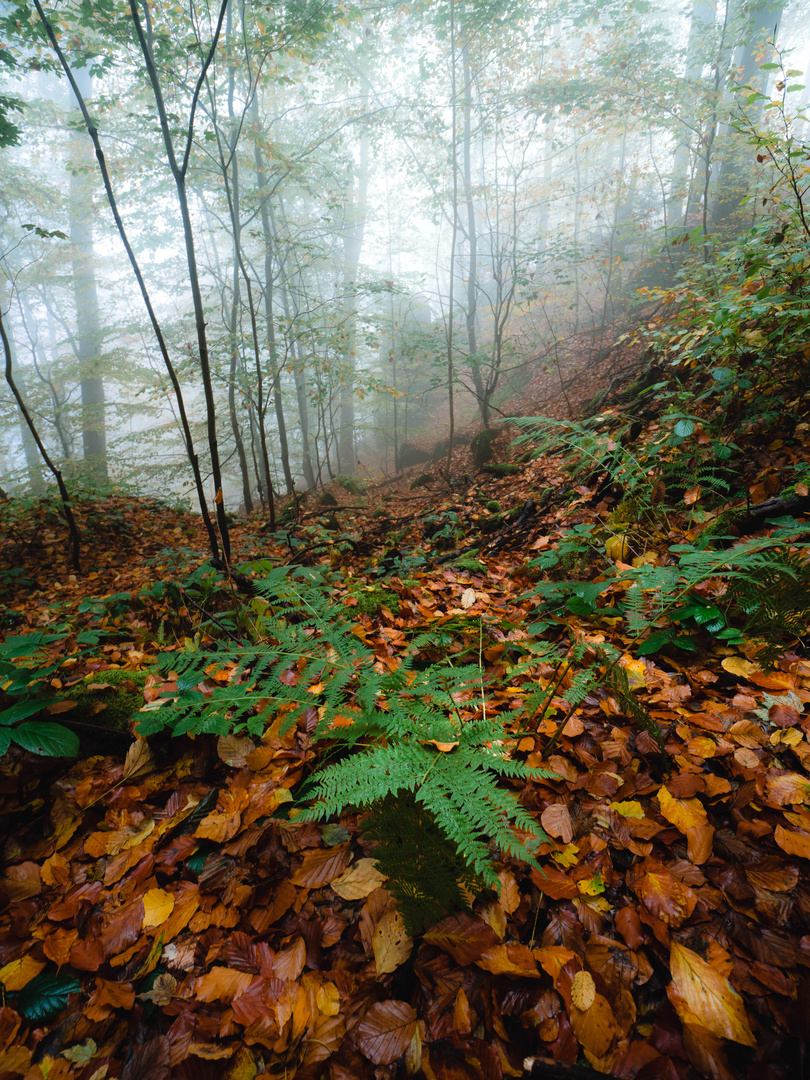 Herbst - bleib noch ein wenig. 