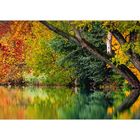 HERBST - BLUES-