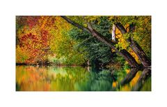 HERBST - BLUES-