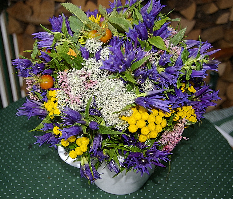 Herbst Blumenstrauss Foto Bild Pflanzen Pilze Flechten Bluten Kleinpflanzen Wildpflanzen Bilder Auf Fotocommunity