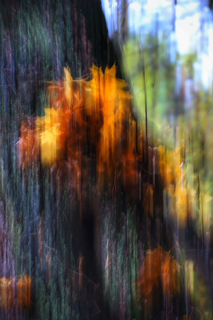 Herbst Blur