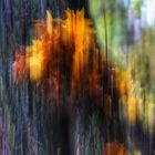 Herbst Blur