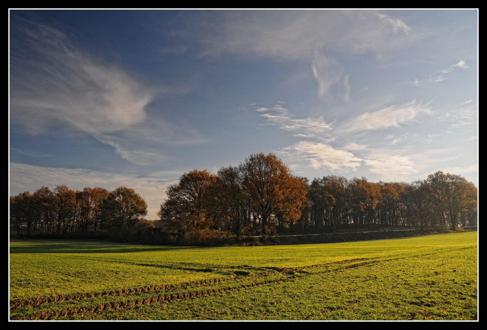 Herbst-Brise