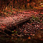 Herbst Brücke