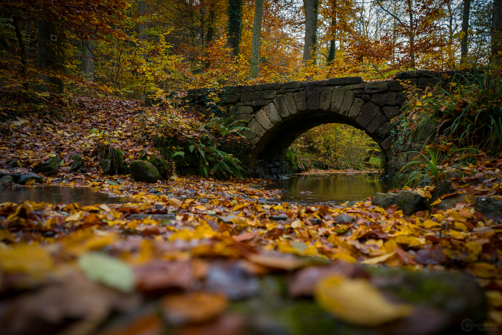 Herbst-Brücke