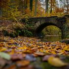 Herbst-Brücke