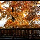 Herbst - Brücke