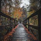 Herbst Brücke 