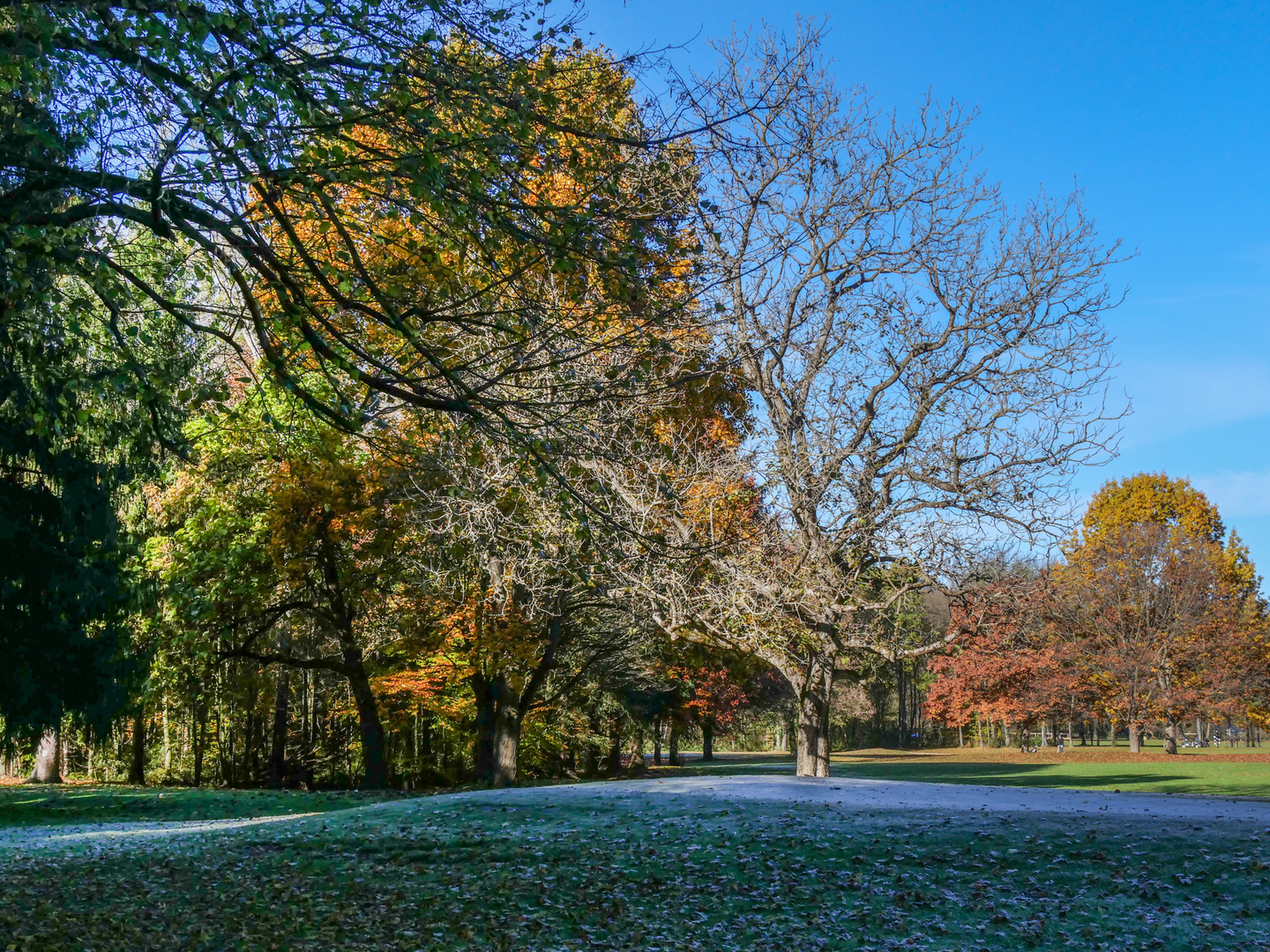 Herbst, bunt gemischt