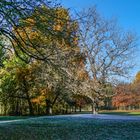 Herbst, bunt gemischt