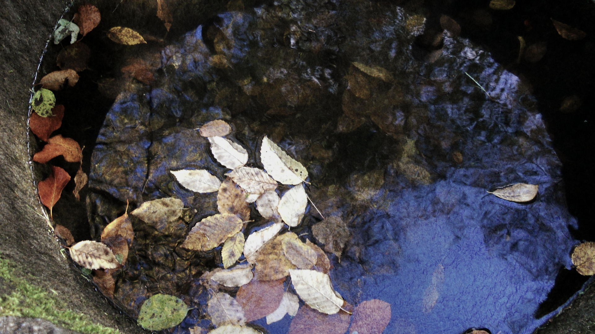 Herbst - Bunte Blätter fallen in den Brunnen