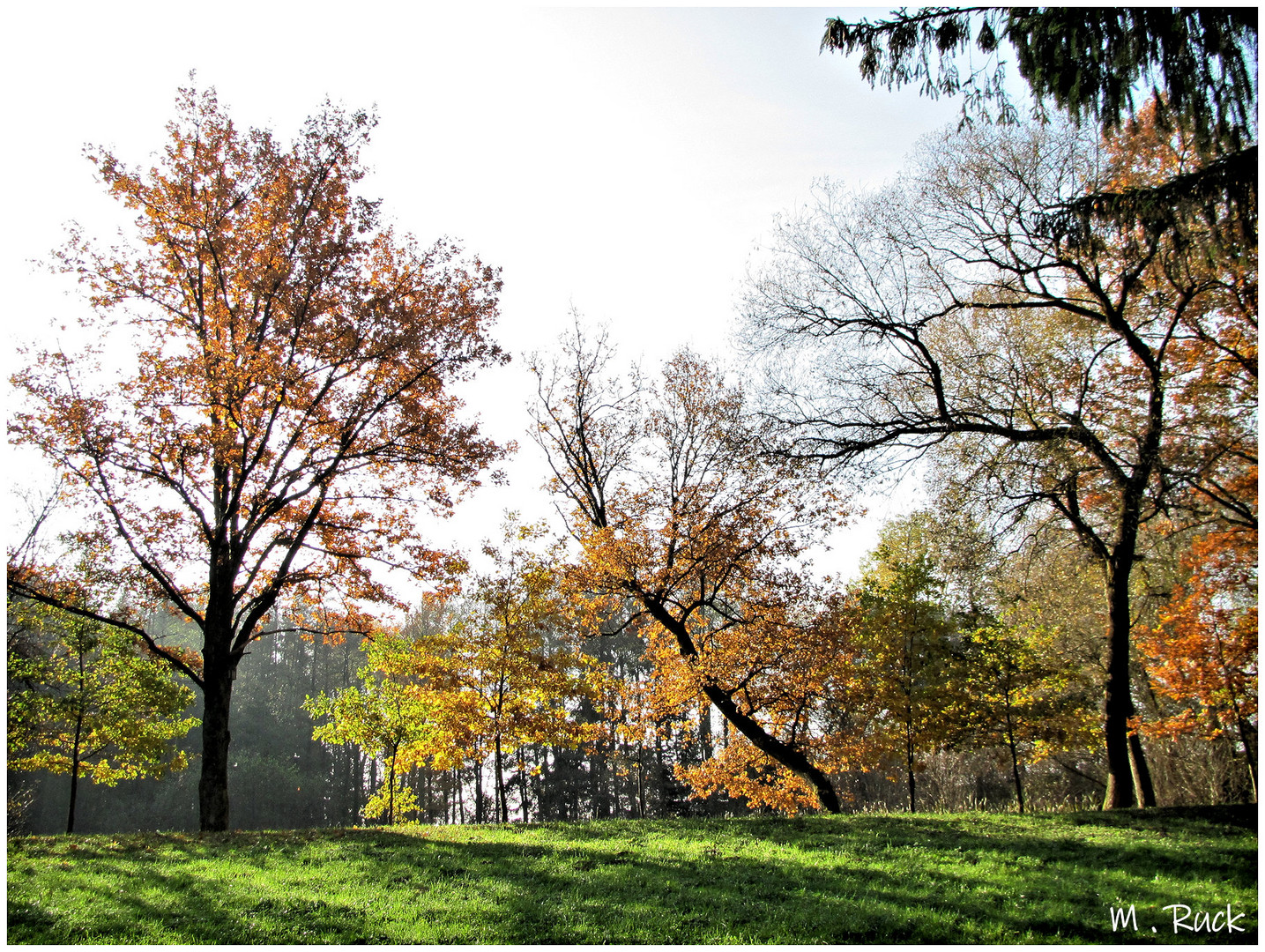 Herbst buntes !