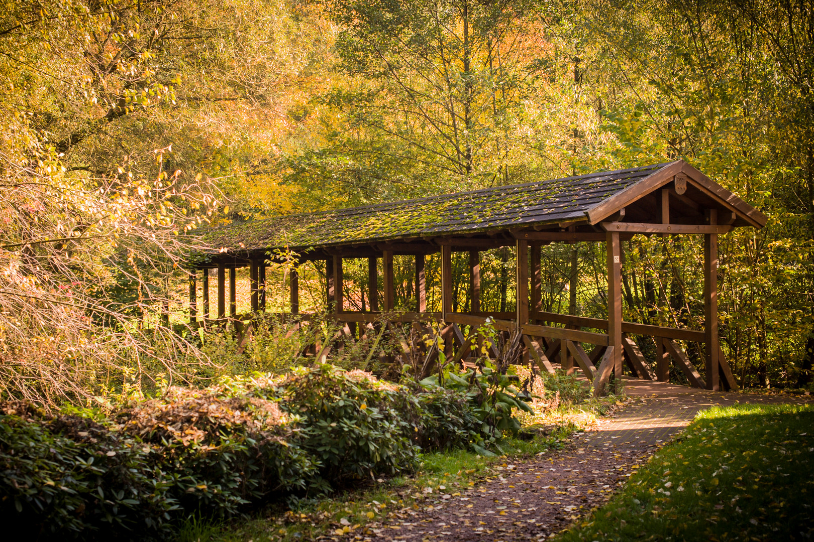 Herbst - Burg Kerpen (Illingen - Saarland) - 2