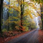 Herbst By Yusuf Aydin 2