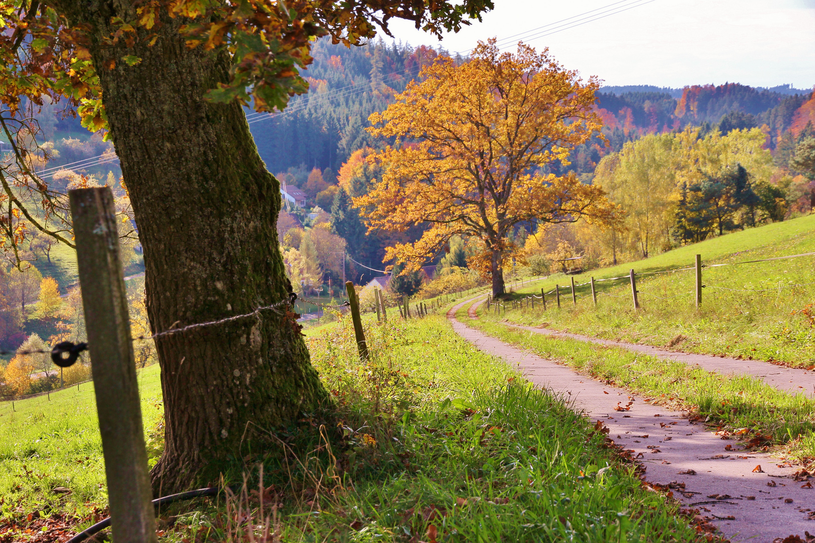 Herbst