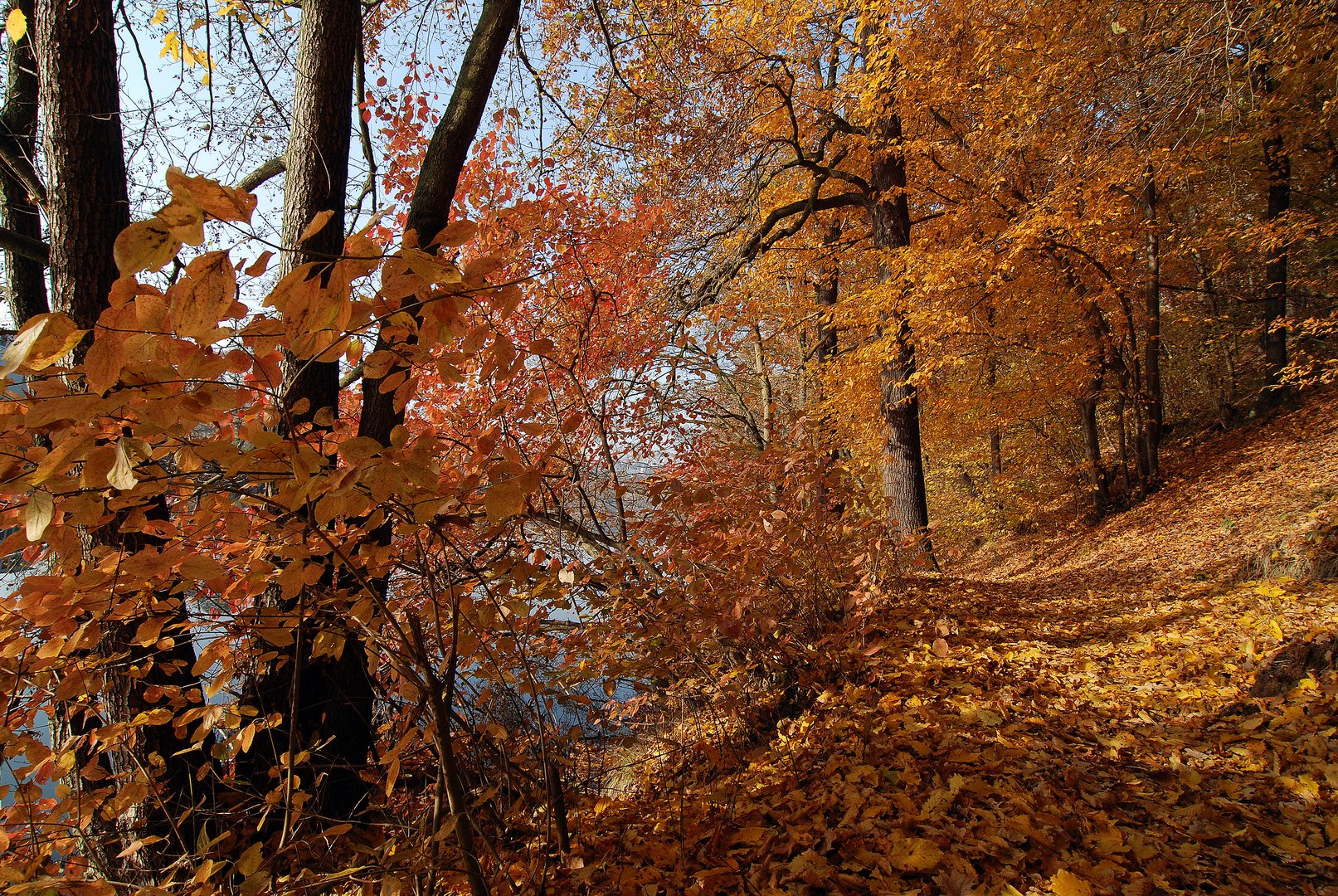 Herbst