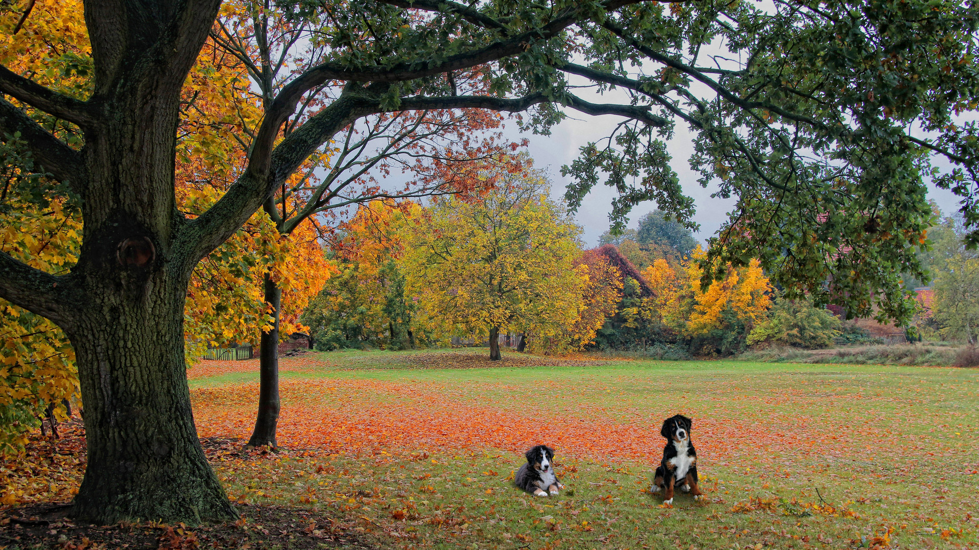 Herbst