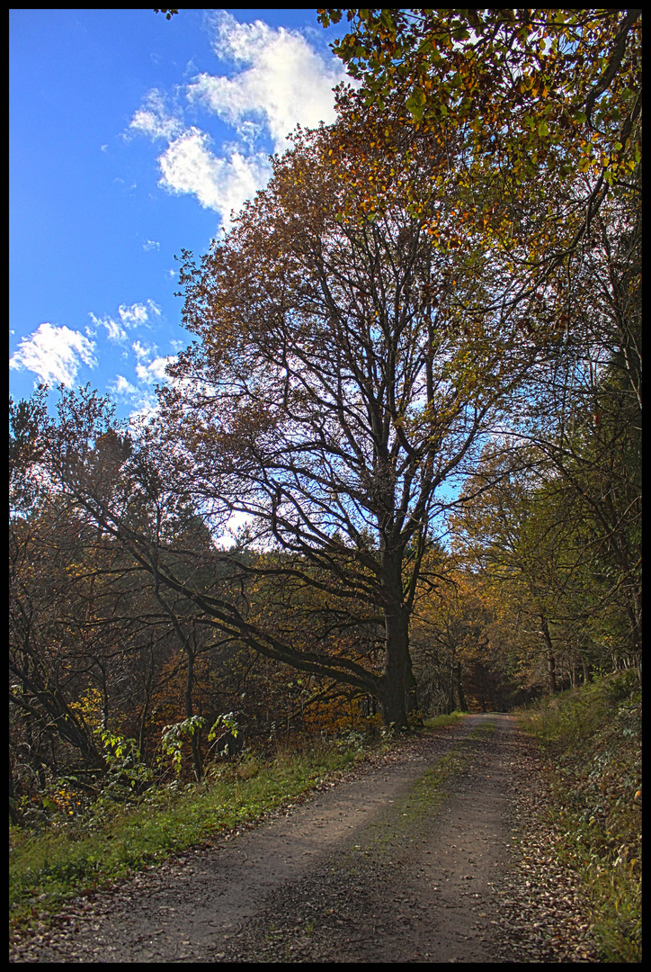 Herbst