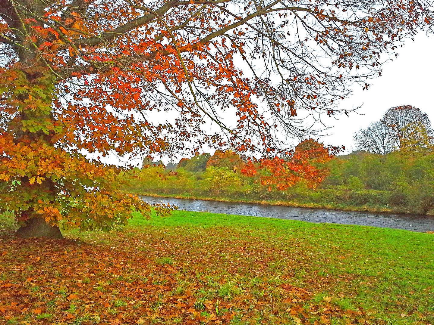 Herbst Foto & Bild | world, wasser, baum Bilder auf fotocommunity