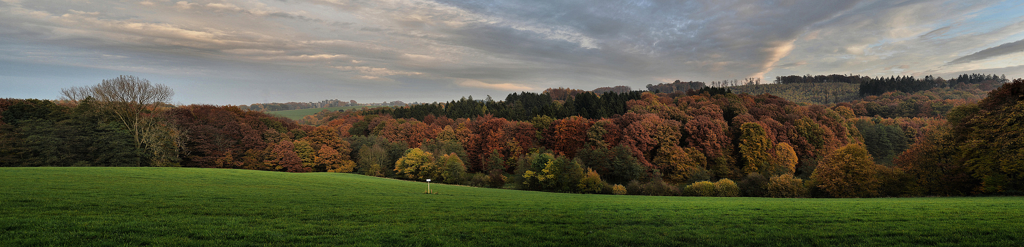 Herbst 