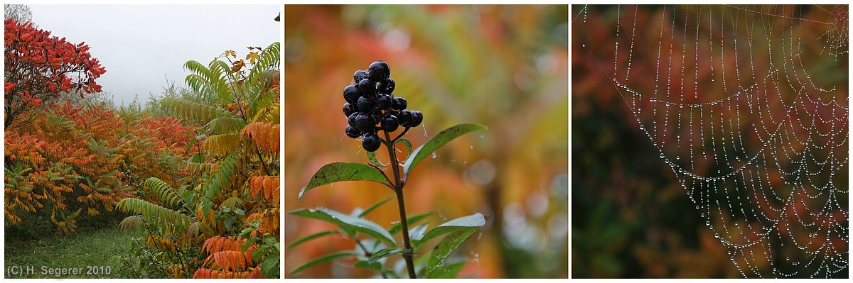 Herbst