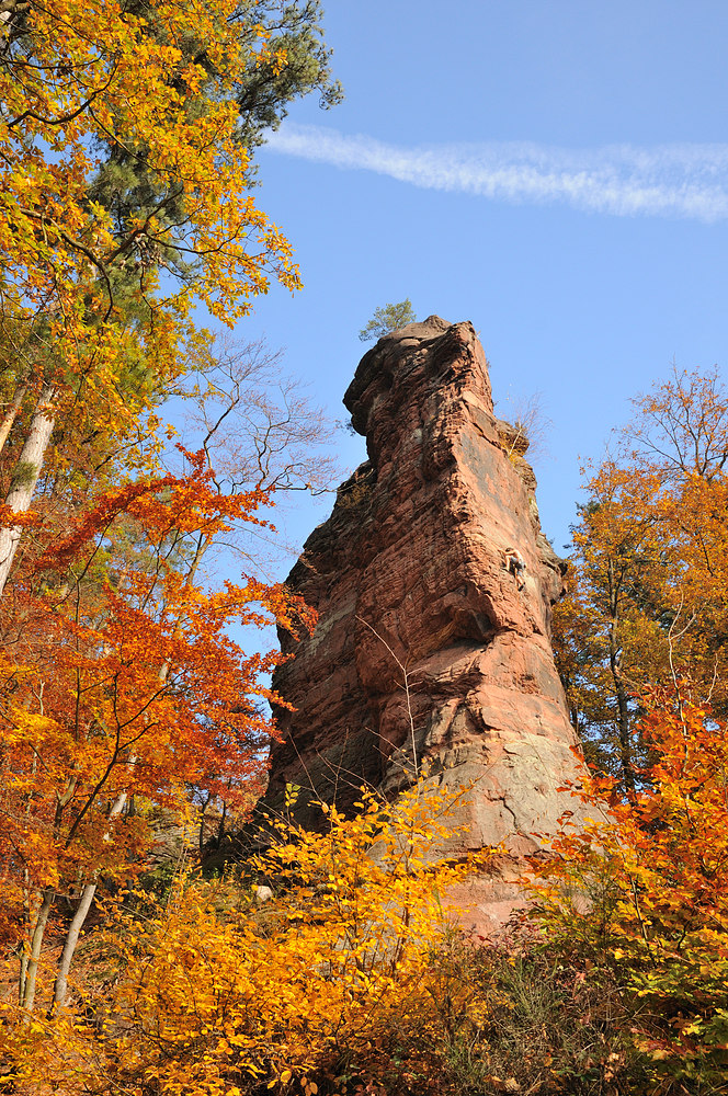 Herbst