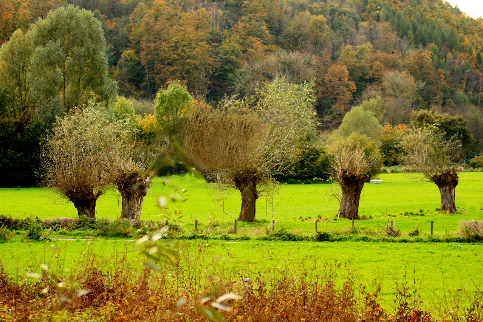 Herbst