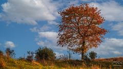 *** Herbst *** 