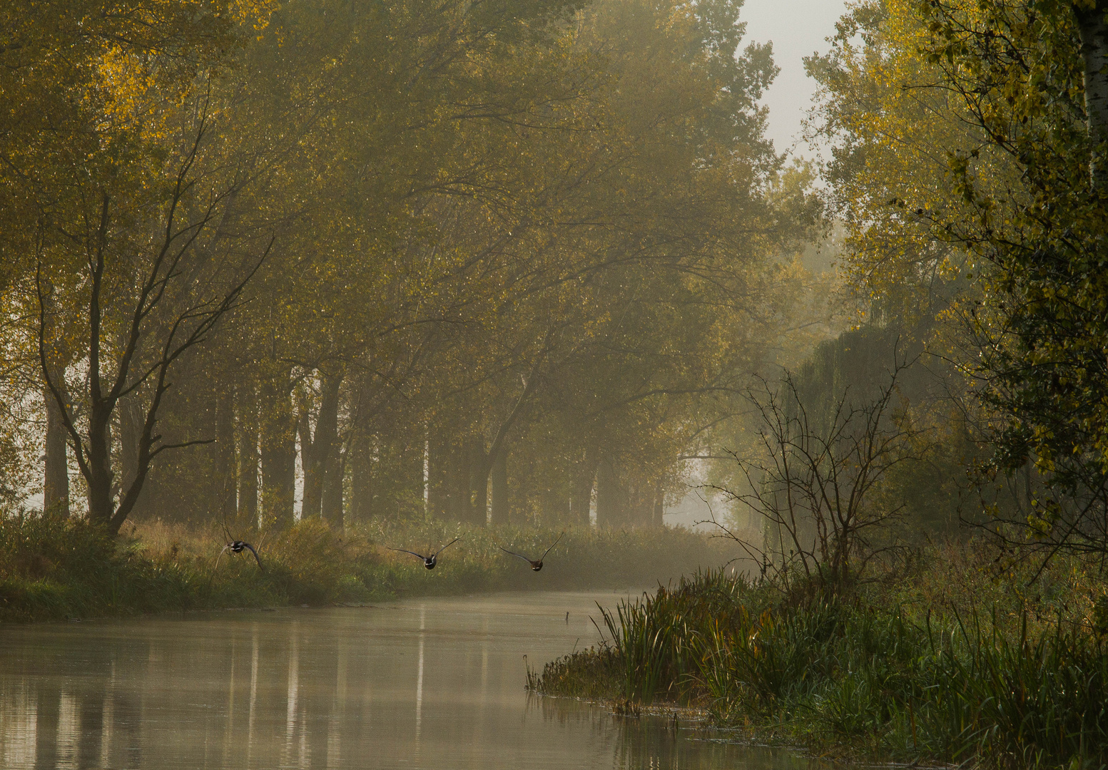 Herbst