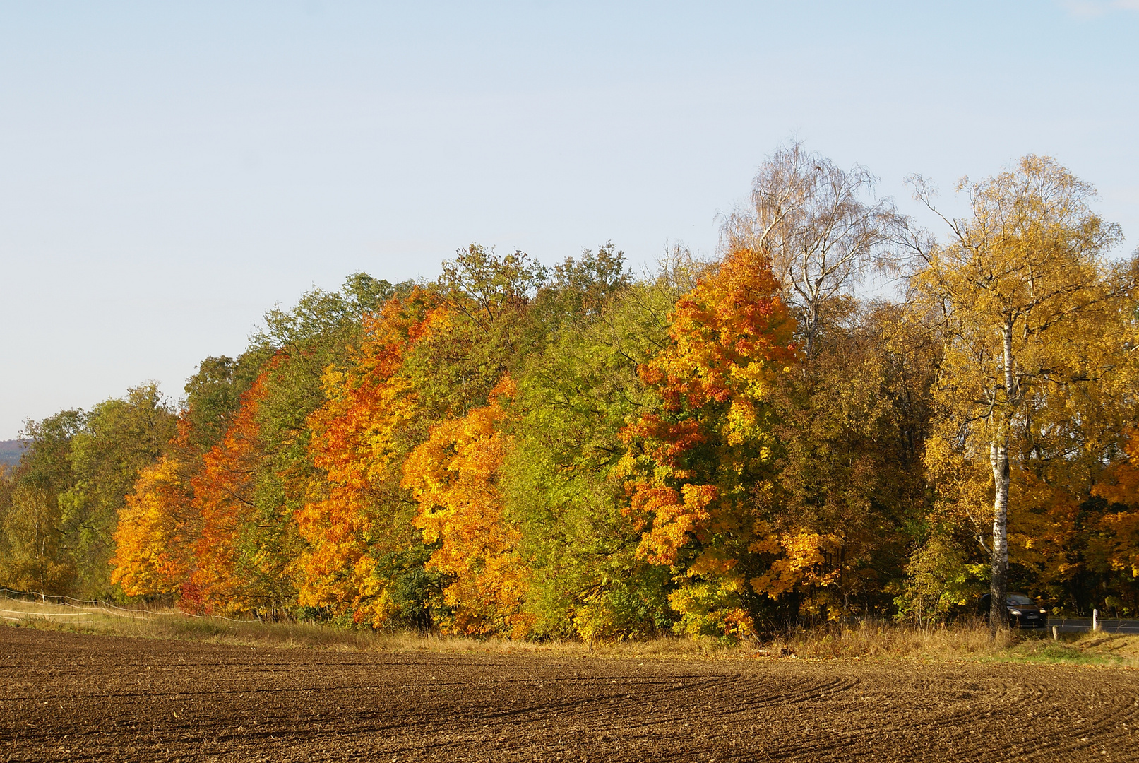 Herbst