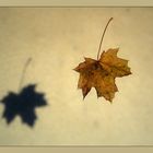 Herbst