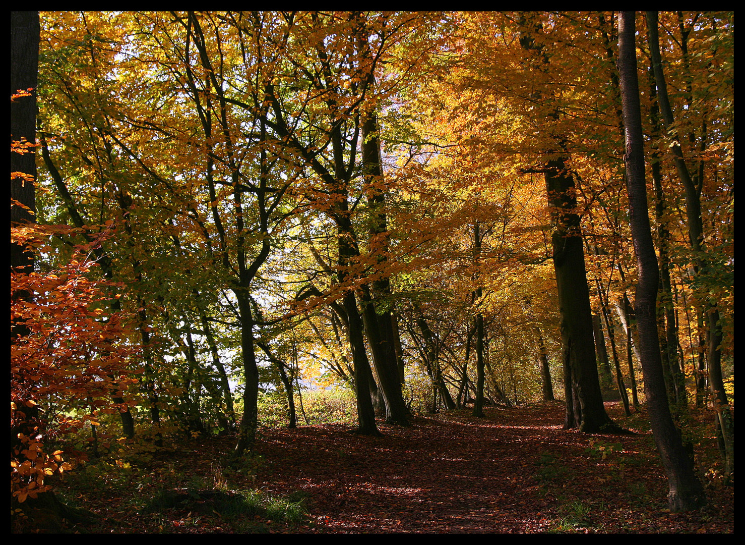 Herbst