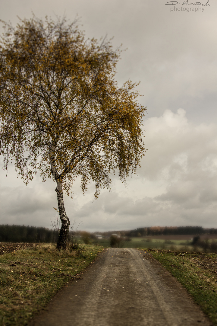 Herbst