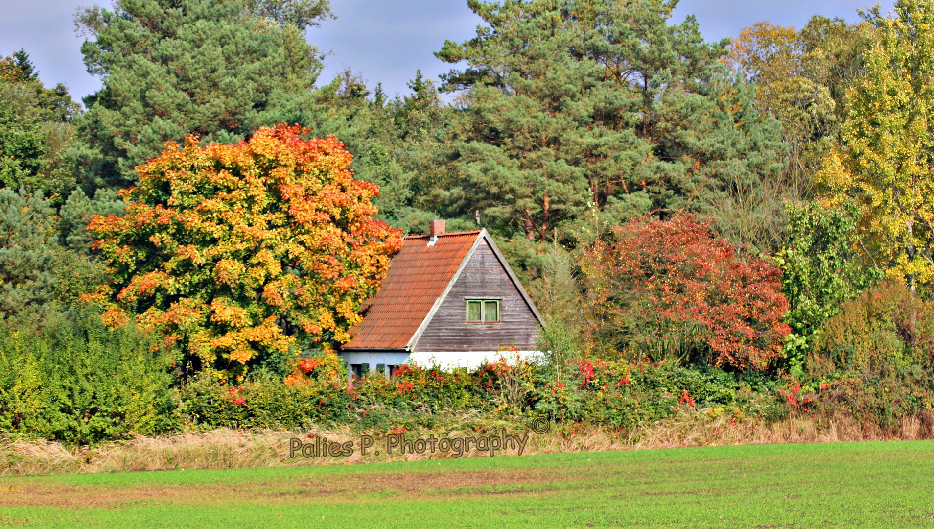 Herbst