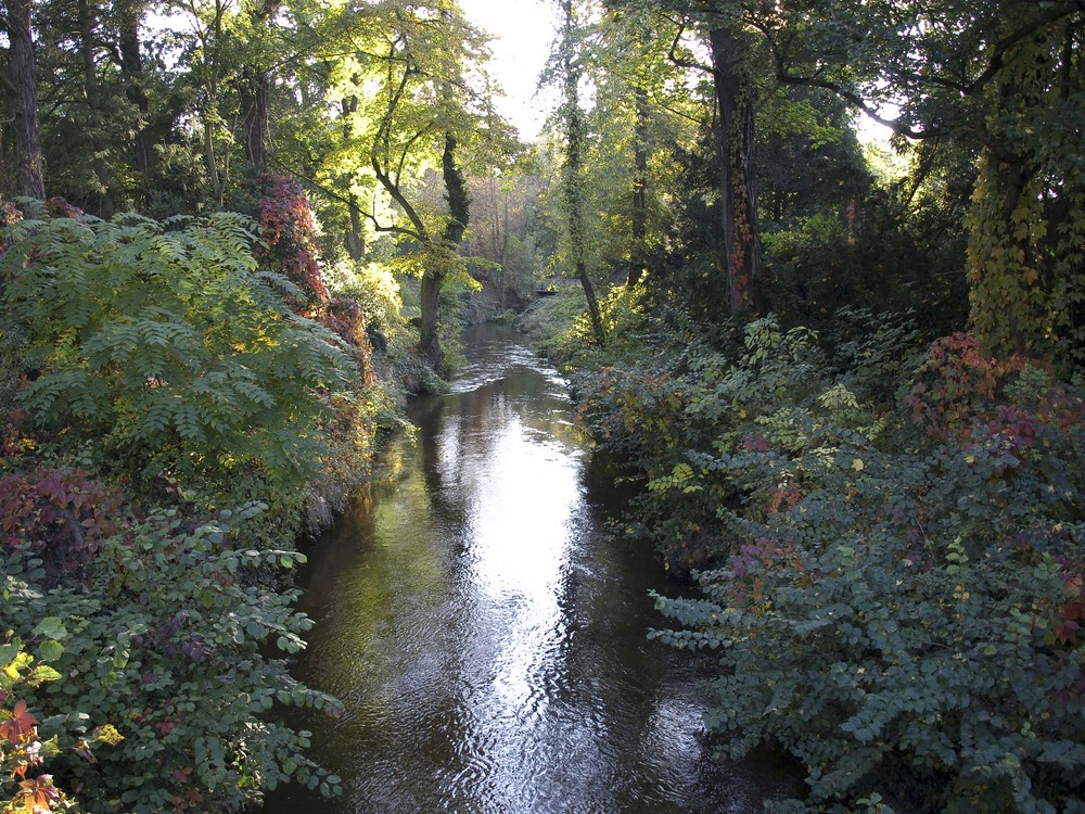 Herbst