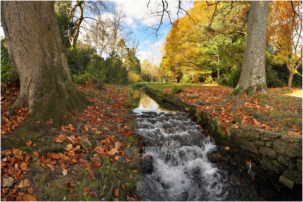 Herbst