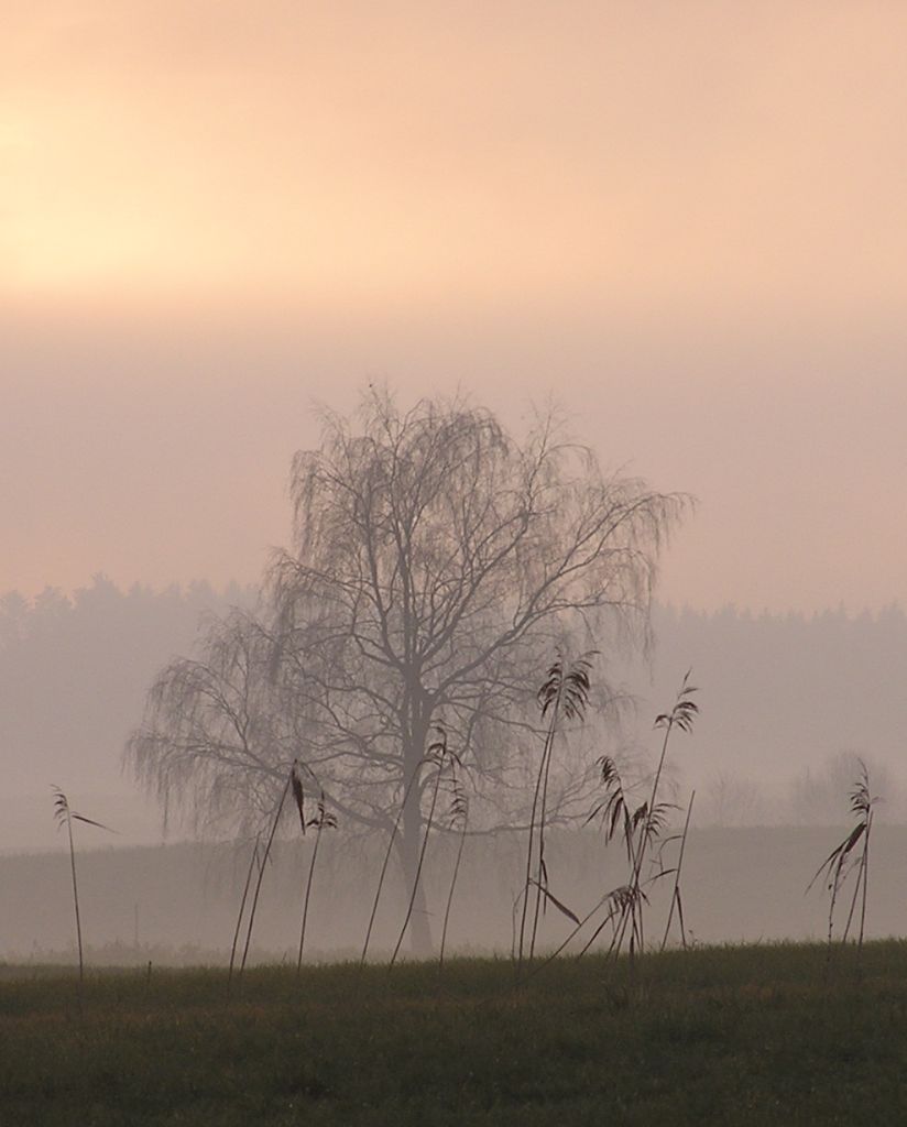 Herbst