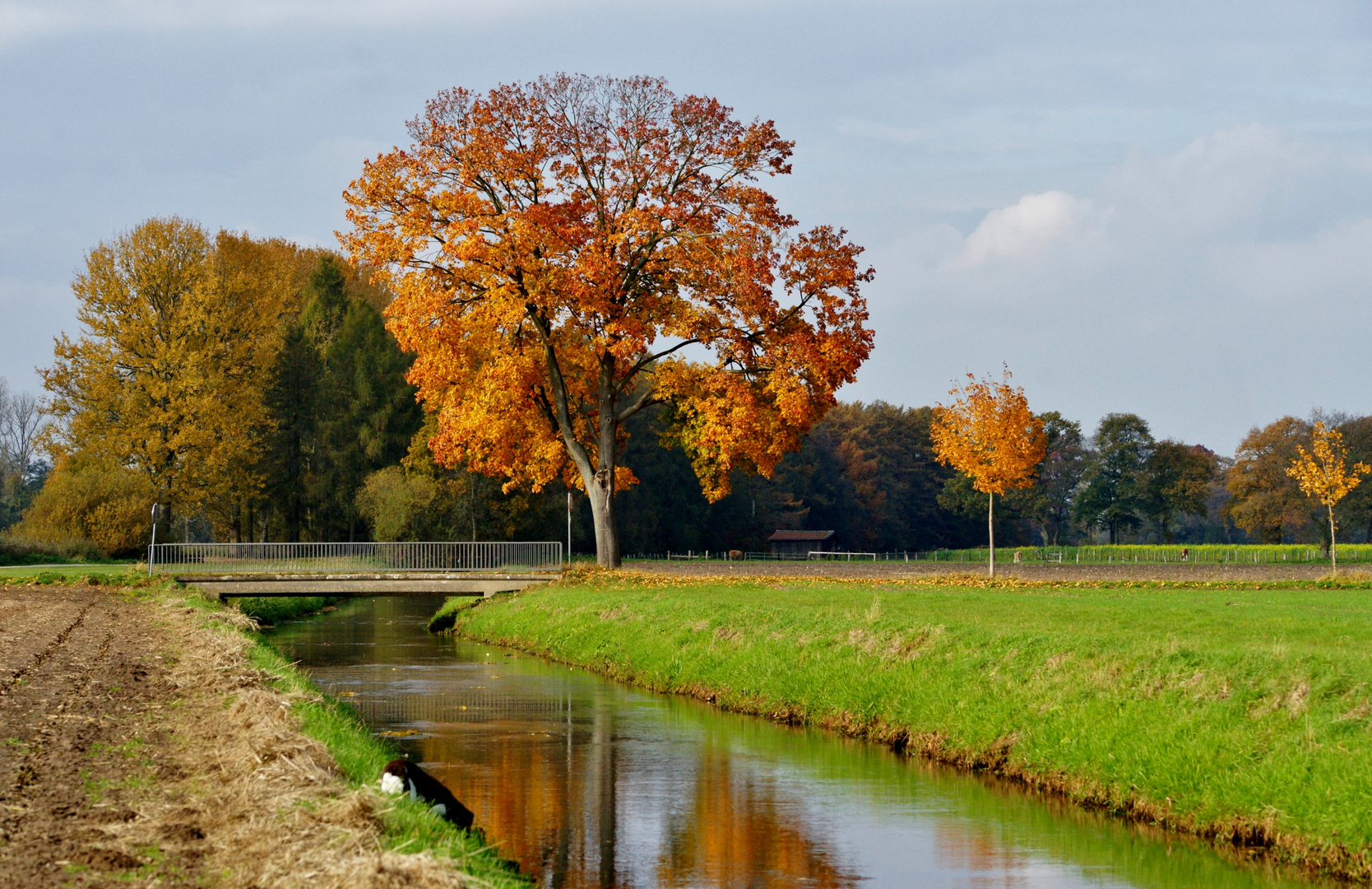 Herbst.