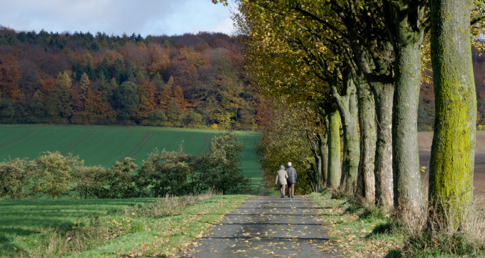 Herbst