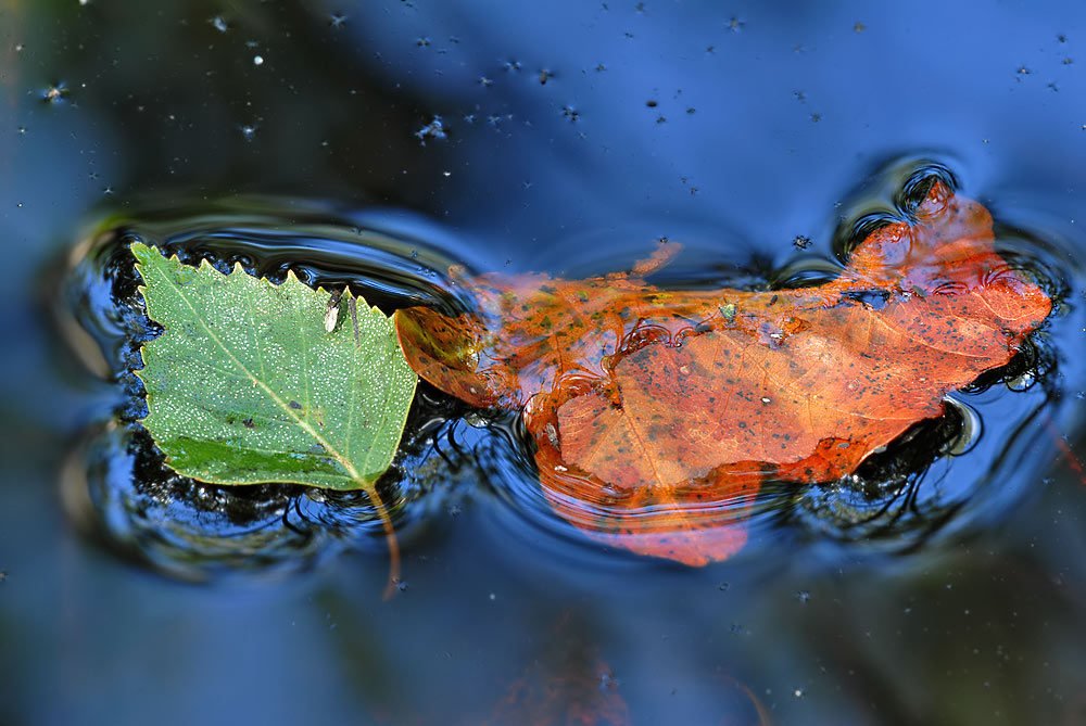 Herbst ...