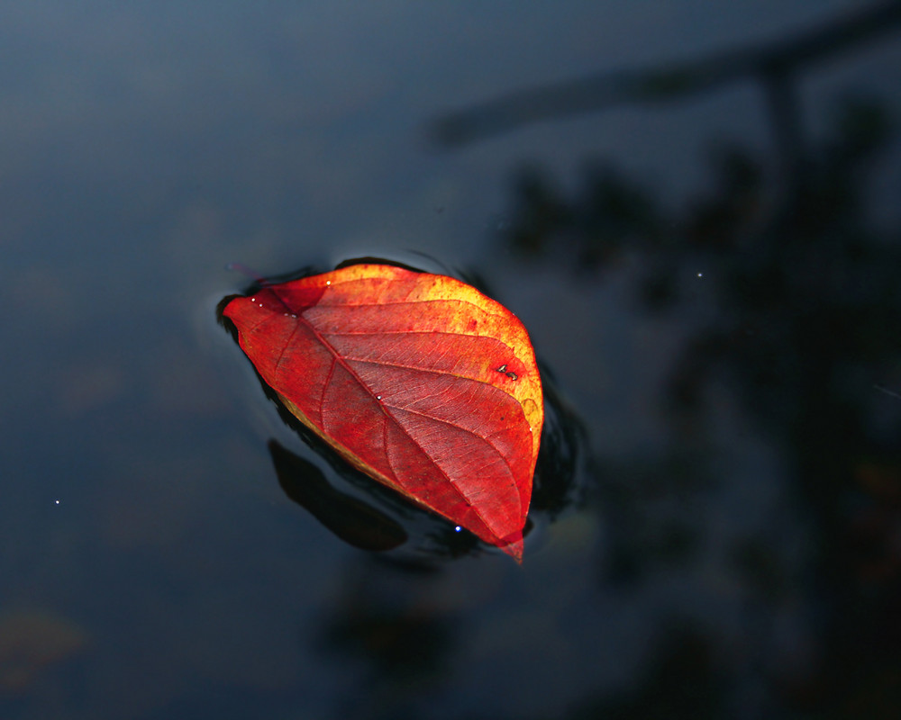 *herbst*