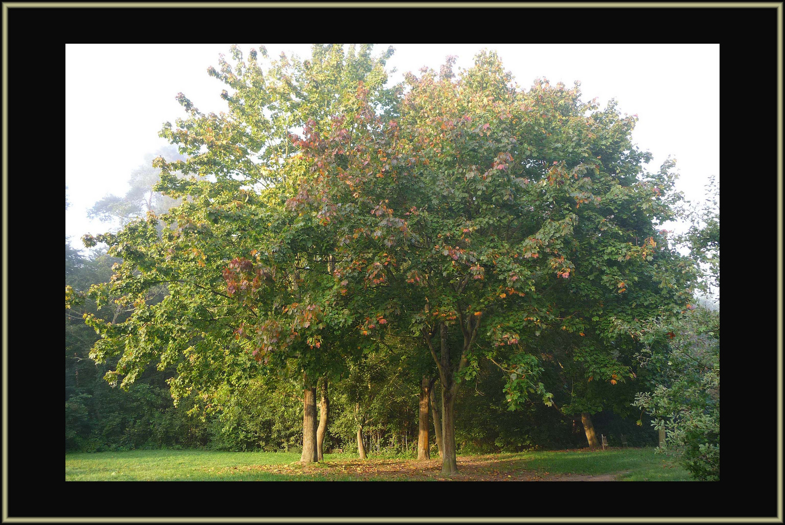 .......Herbst......