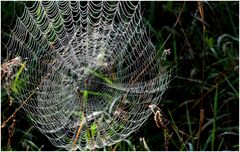Herbst