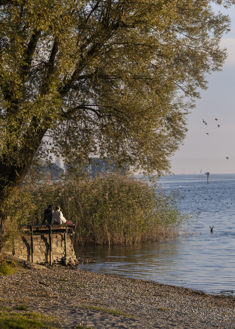 Herbst chillen am See