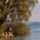 Herbst chillen am See