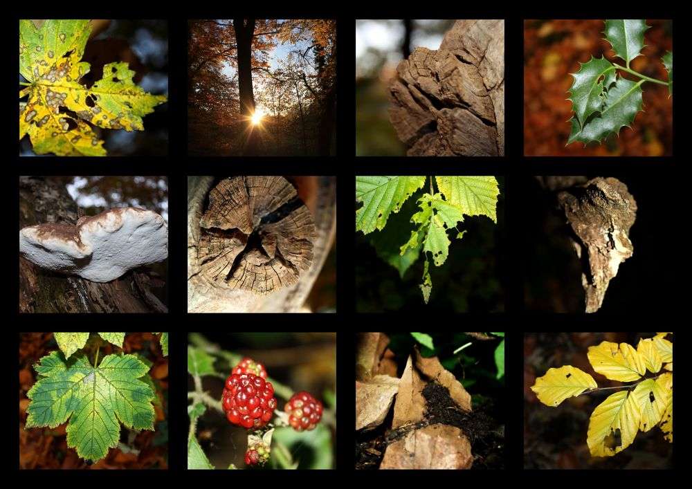 Herbst-collage