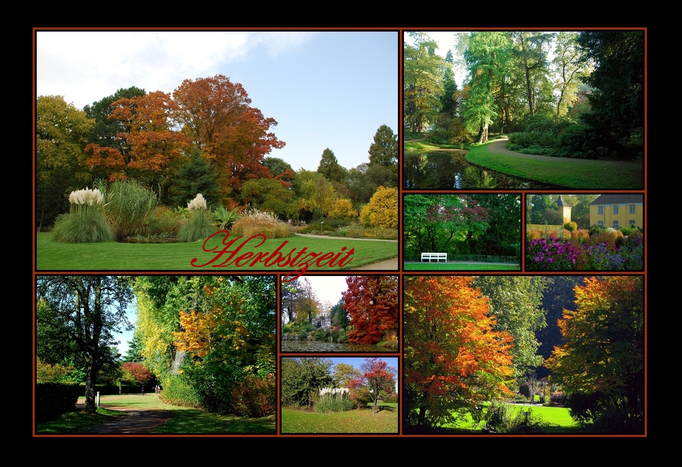 Herbst Collage