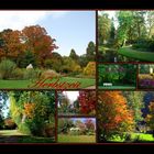 Herbst Collage