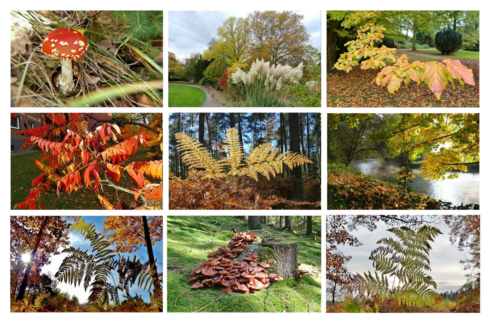 Herbst-Collage 1